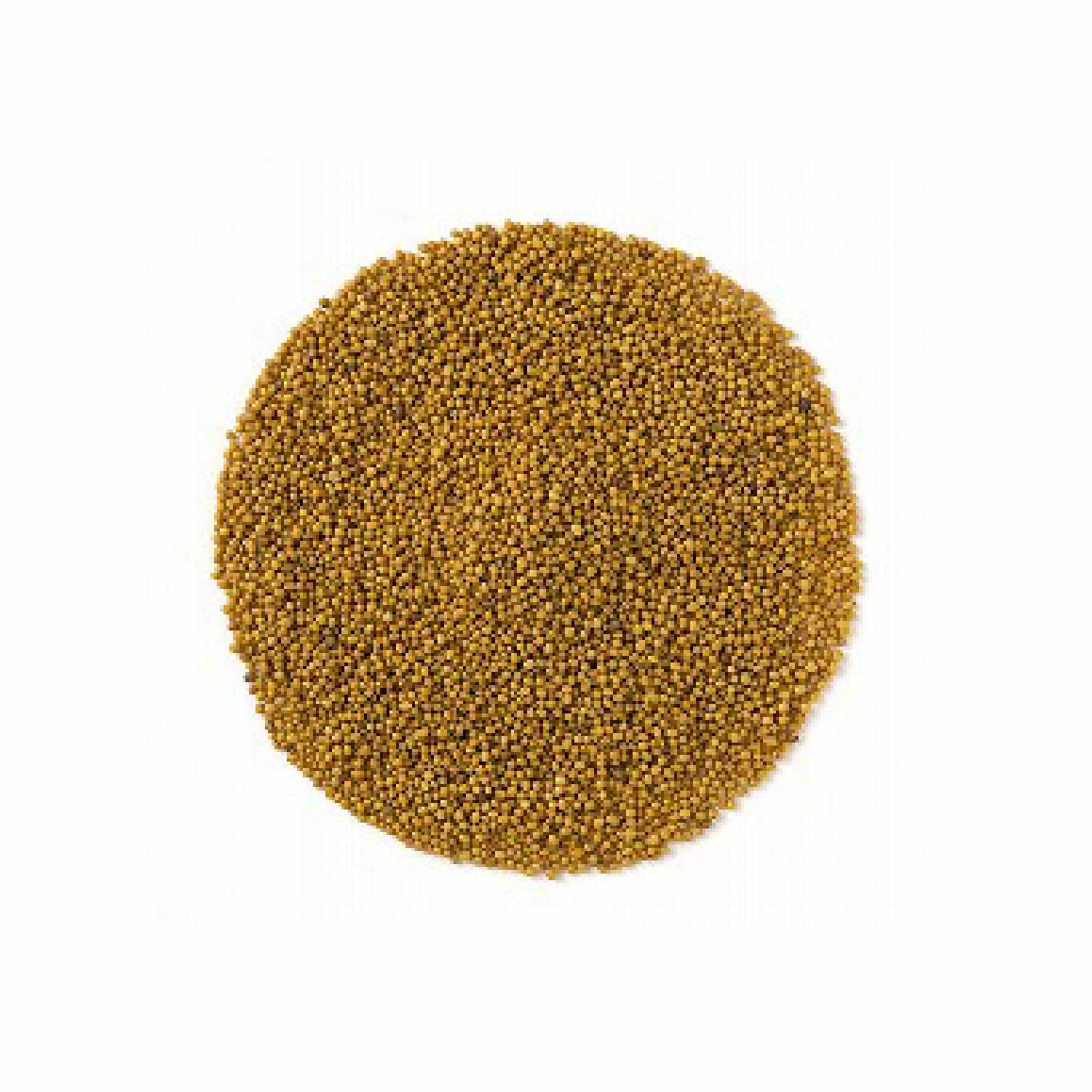 常温　マスタードホール　100g