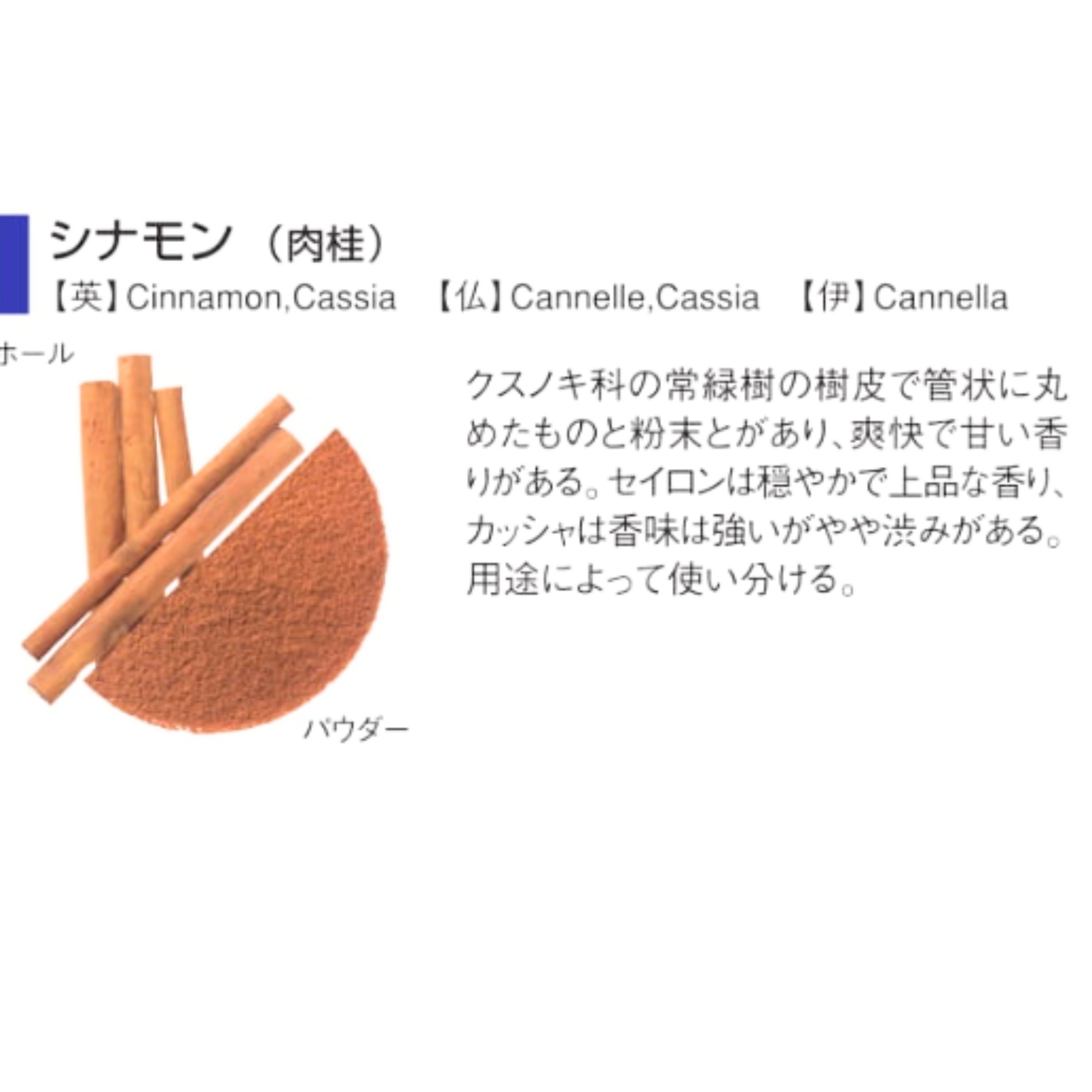 常温　シナモンパウダー　80g