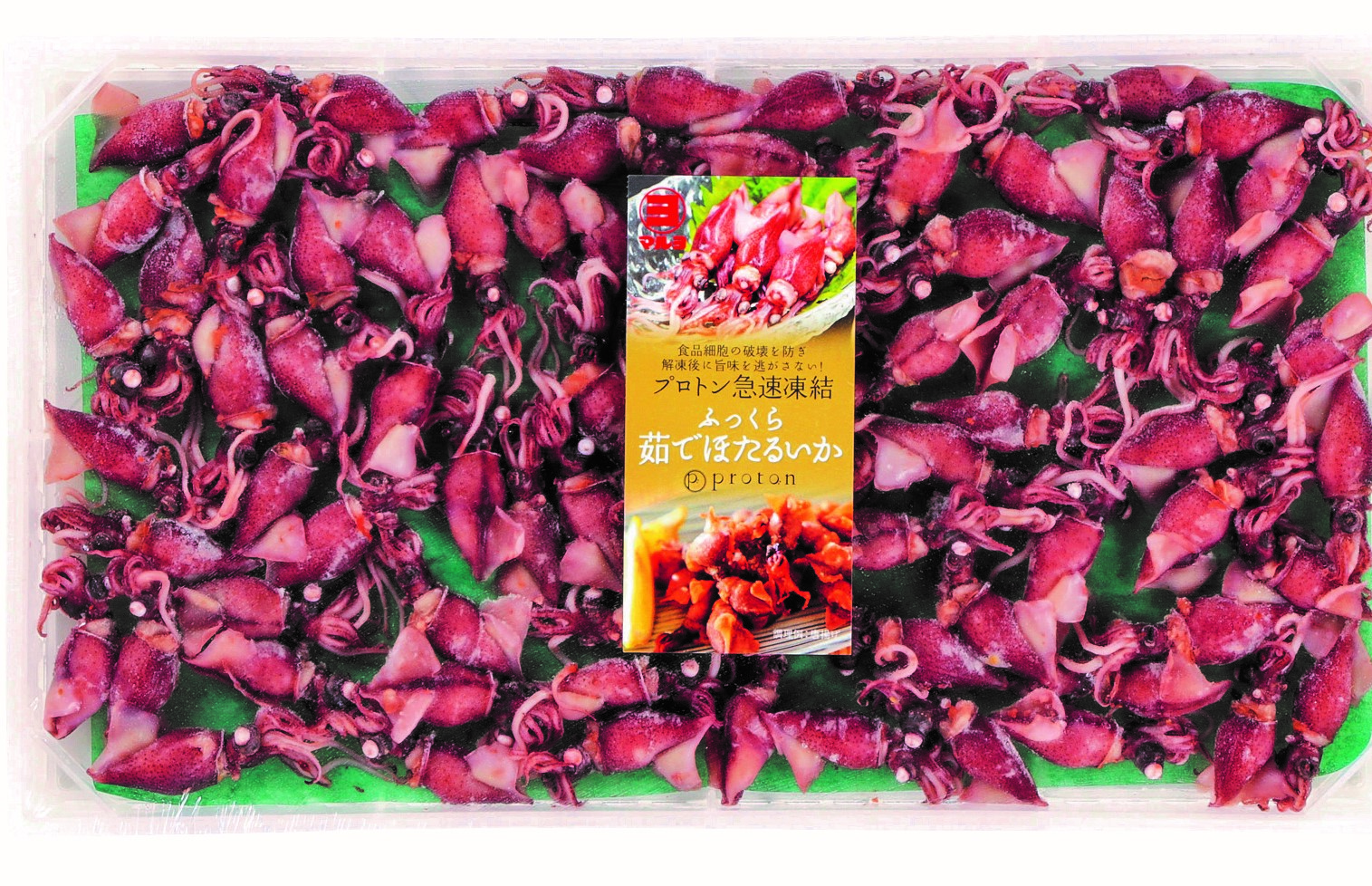 冷凍　ふっくら茹でほたるいか